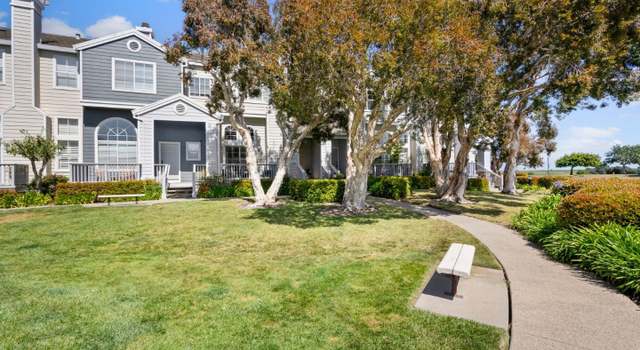 Photo of 394 Genoa Dr, Redwood Shores, CA 94065