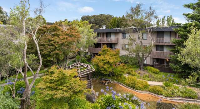 Photo of 3336 Shelter Creek Ln, San Bruno, CA 94066