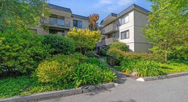 Photo of 7340 Shelter Creek Ln, San Bruno, CA 94066