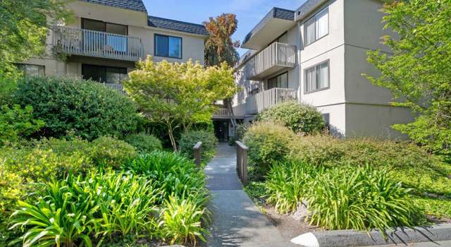 Photo of 7340 Shelter Creek Ln, San Bruno, CA 94066