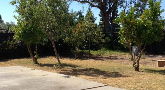 Photo of 231 CASTILLON Way, San Jose, CA 95119