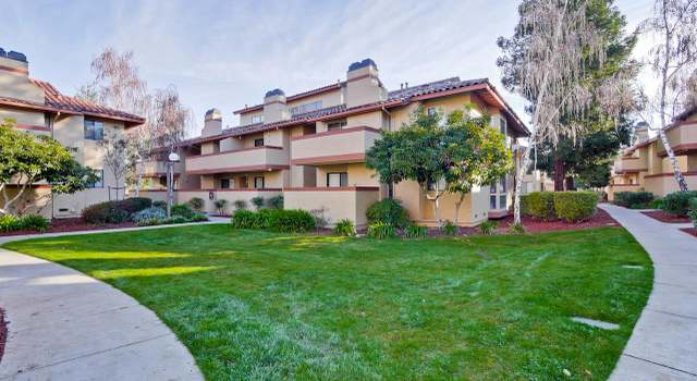 Photo of 20717 Celeste Cir, Cupertino, CA 95014