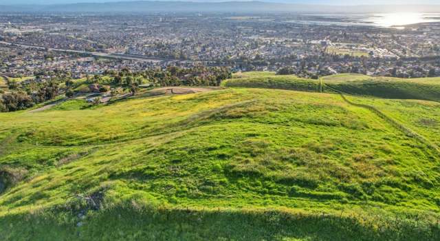 Photo of 1339 Terra Vista Ct, Milpitas, CA 95035