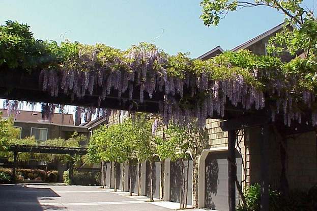1118 Shoreline Dr San Mateo Ca 94404 2 Beds 1 5 Baths