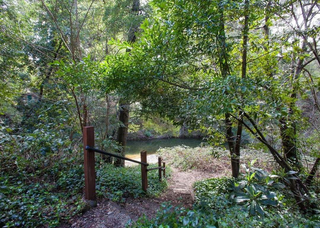 13550 Bear Creek Rd #24, BOULDER CREEK, CA 95006