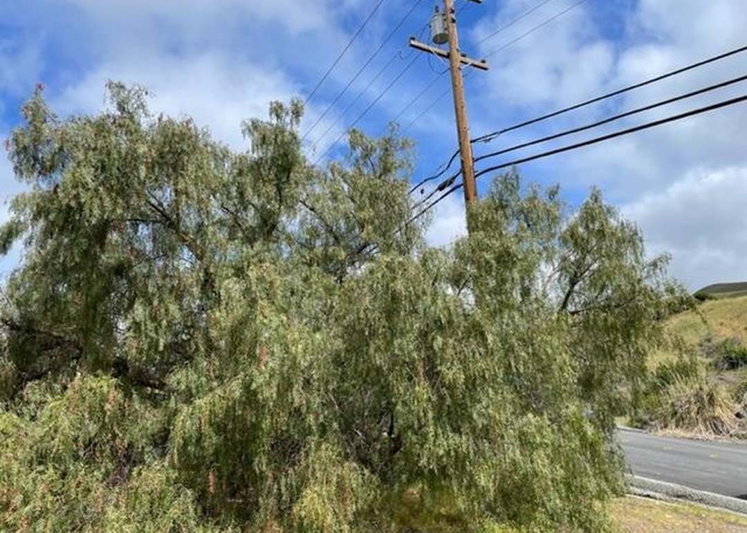 00 Boulder Dr, SAN JOSE, CA 95132
