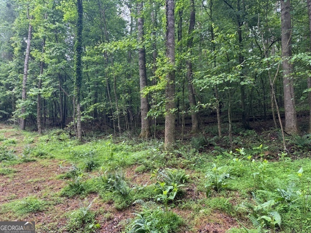 LT 32 Johnson Mill Rd, Ellijay, GA 30536