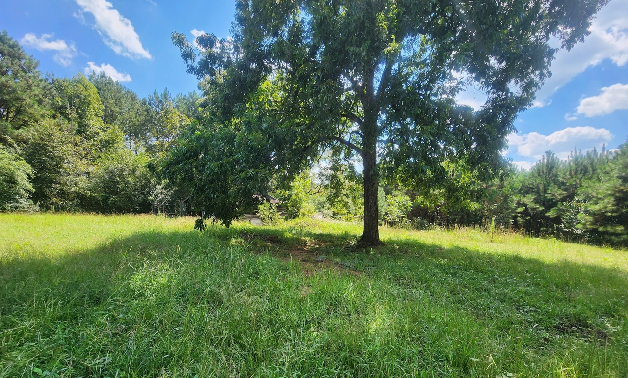 1835 Jeff Davis (1.5 Acres) Rd, Thomaston, GA 30286 MLS 10206286