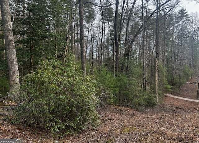 Property at 0 Corinth Church Rd, Cleveland, GA 30528