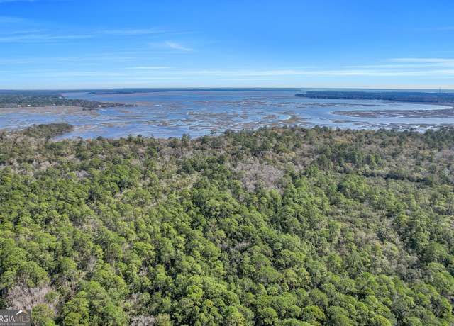Property at 0 Drizzle Bluff Rd, Woodbine, GA 31569