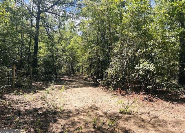 Property at 0 Moores Chapel Rd, Mauk, GA 31058