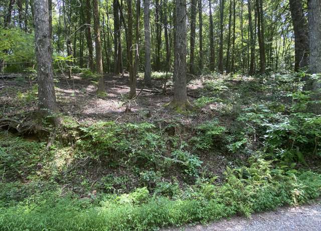 Property at HEMLOCK Hemlock Trl, Blue Ridge, GA 30513
