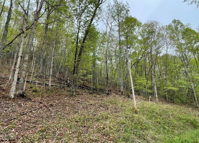 Property at LOT 31 Nelson Rdg, Hayesville, NC 28904