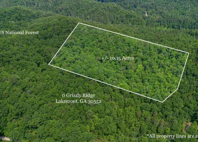 Property at 0 Grizzly Ridge Rd, Lakemont, GA 30552