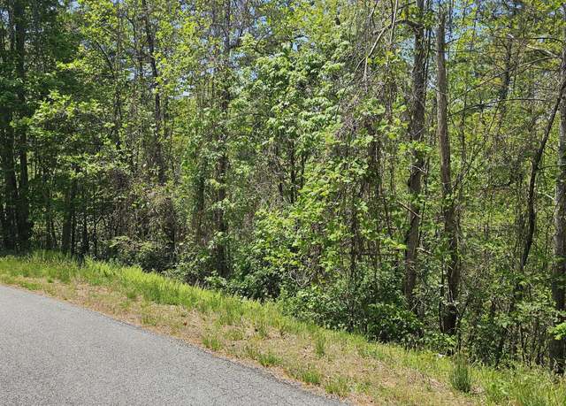 Property at 0 Heavenly Cir #19, Clayton, GA 30525