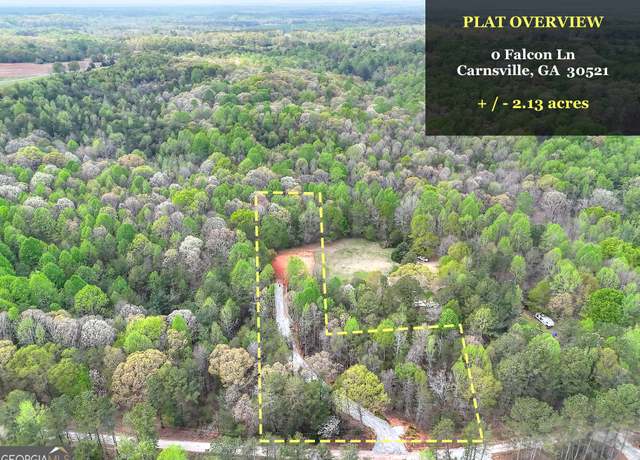 Property at 0 Falcon Ln, Carnesville, GA 30521