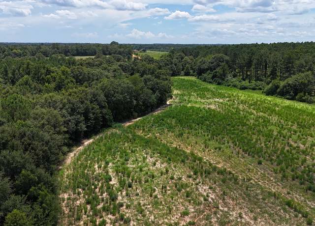 Property at 027F Wallace Buie Rd, Webb, AL 36376