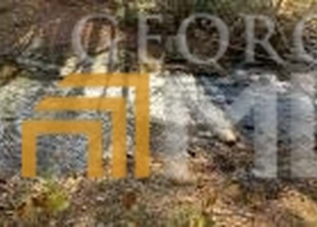 Property at LOT 44 Fires Creek Cv, Hayesville, NC 28904