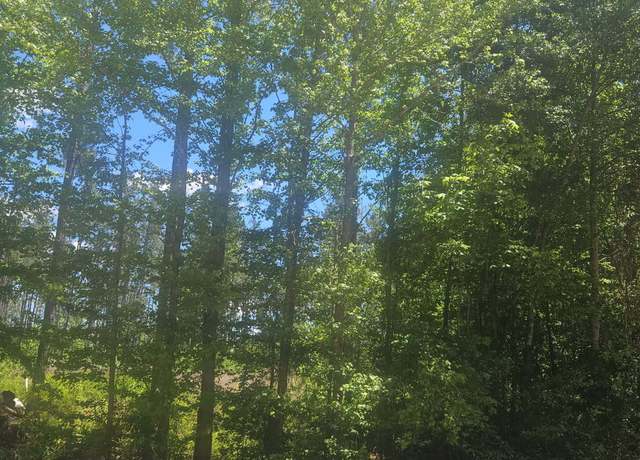 Property at LOT #5 Highway 123, Mitchell, GA 30820