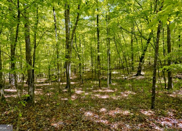 Property at 98 ACRES +/- George Smith, Talbotton, GA 31827