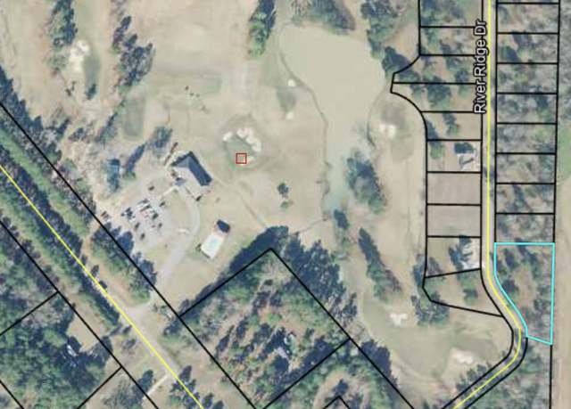 Property at VACANT LOTS River Ridge Dr, Hawkinsville, GA 31036