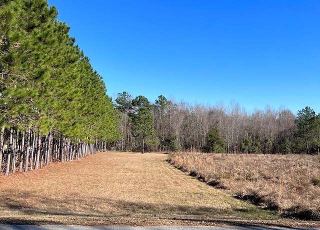 Property at 520 Limestone Lane Tract#1, Mount Vernon, GA 30445