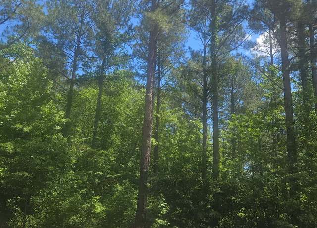 Property at LOT #6 Highway 123, Mitchell, GA 30820