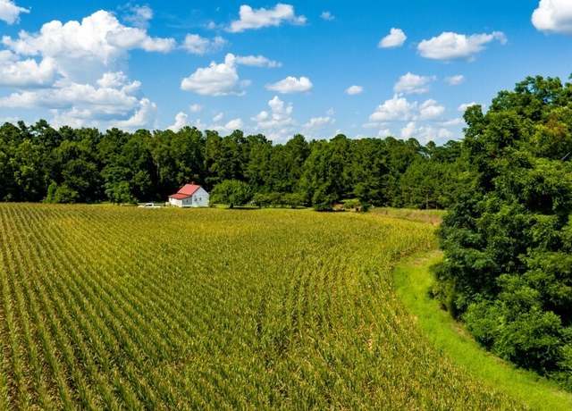 Property at 227 Barnes Nursery Rd, Bronwood, GA 39826