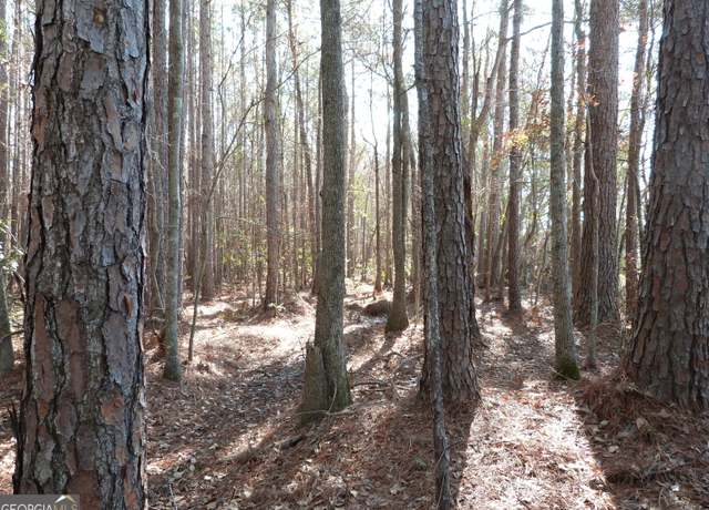 Property at 0 Highway 119 North, Ellabell, GA 31308