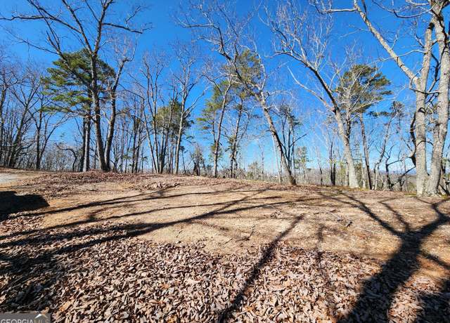Property at 0 Nichols Cove Dr, Dawsonville, GA 30534