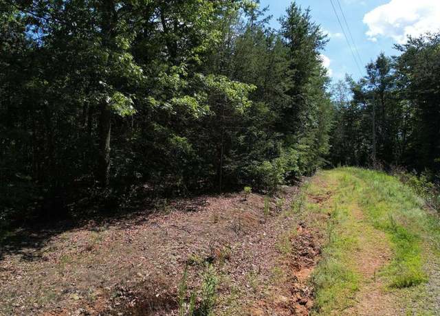 Property at 0 Flagpole Cir, Ellijay, GA 30540