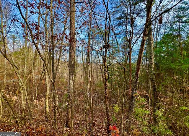 Property at 8 Firefly Ridge Rd, Blairsville, GA 30512