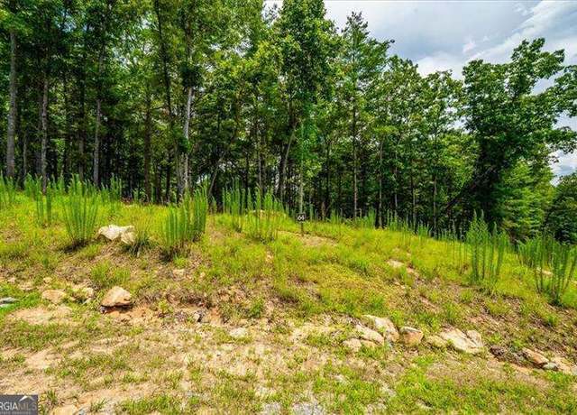 Property at 0 Ridge Dr Lot 64, Morganton, GA 30560