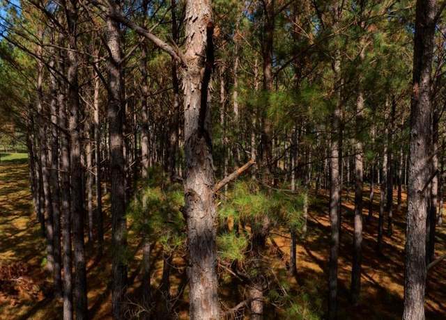 Property at 0 Bethel Rd Unit TRACT 8, Sylvania, GA 30467
