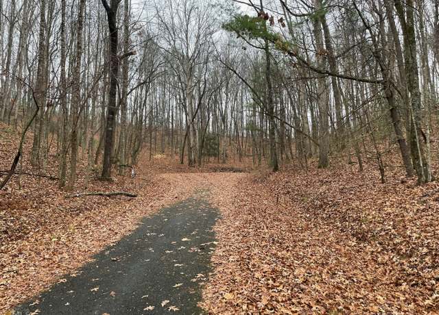 Property at 0 Walhalla Ct Lot 387, Ellijay, GA 30540
