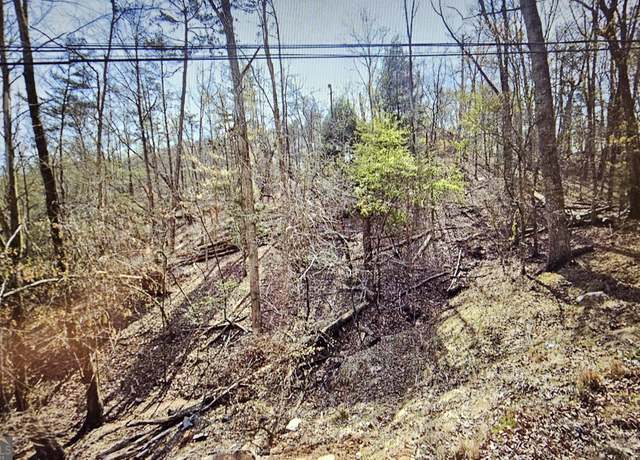Property at 0 Lot 3540 Newport Dr, Ellijay, GA 30540