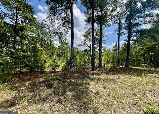 Property at 0 Dublin Eastman Rd, Dexter, GA 31019