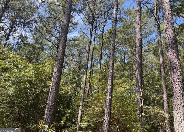 Property at 0 Charles Reeves Rd, Roberta, GA 31078
