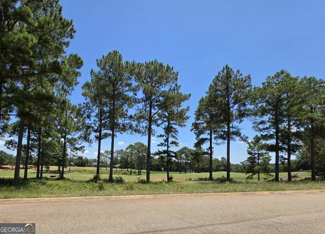 Property at LOT 10&11 Camden Way, Hawkinsville, GA 31036