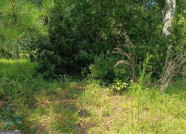 Property at LOTS 29 & 30 Pine Acres Dr, Milan, GA 31060