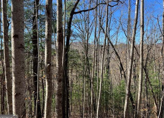 Property at 406 Barefoot Rise, Hiawassee, GA 30546