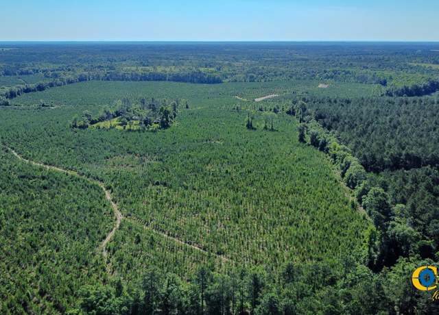 Property at 0 Marvis Chapman Rd, Ideal, GA 31041