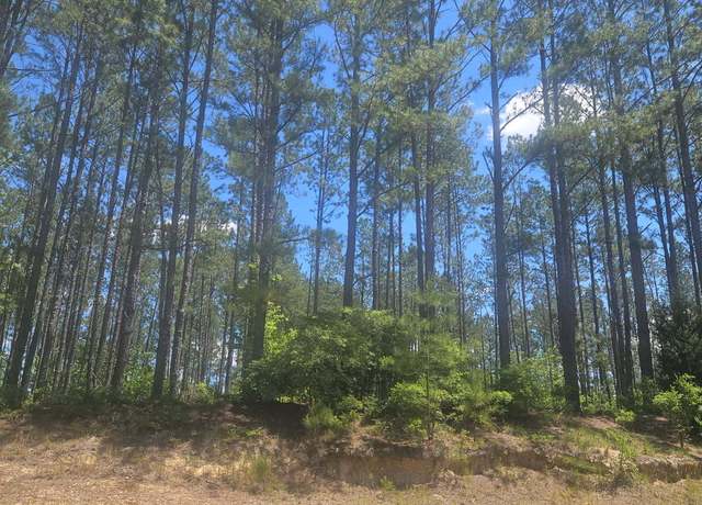 Property at LOT #7 Highway 123, Mitchell, GA 30820