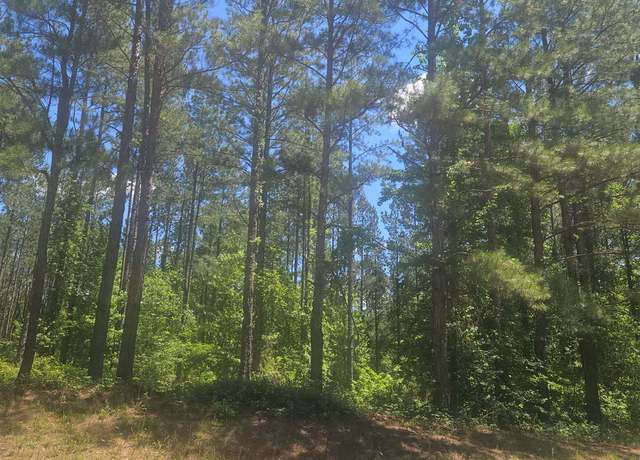 Property at LOT #8 Highway 123, Mitchell, GA 30820