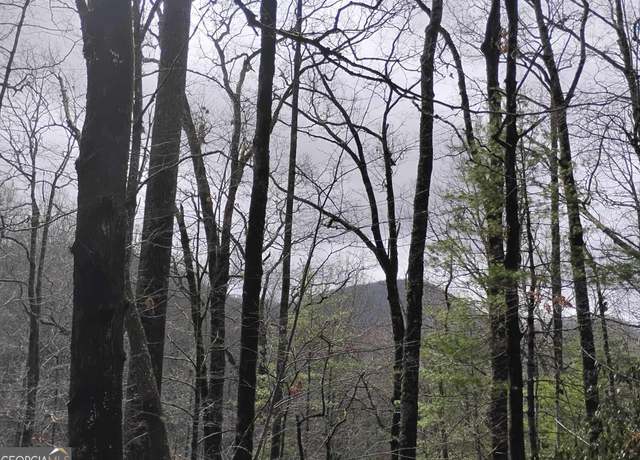 Property at 0 LOT #289 Cobblewood Trl, Sky Valley, GA 30537