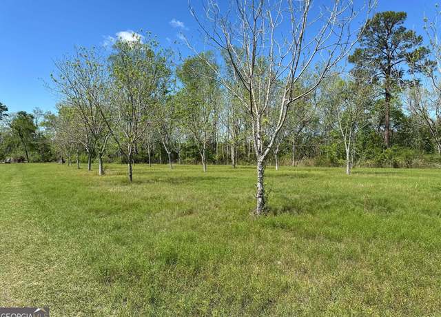 Property at 0 SR 169, Glennville, GA 30427