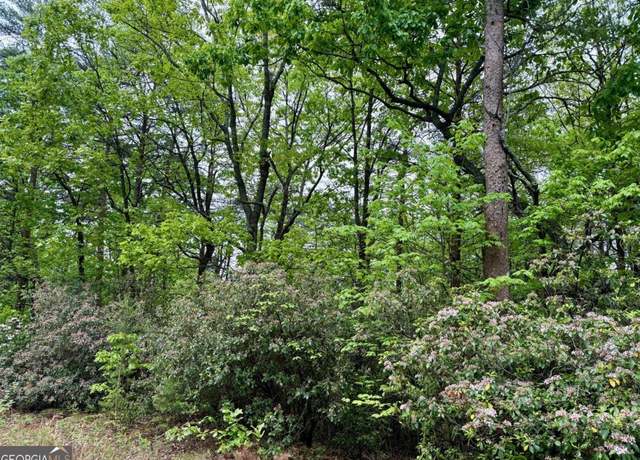 Property at 0 Snowdrift Pl, Cleveland, GA 30528