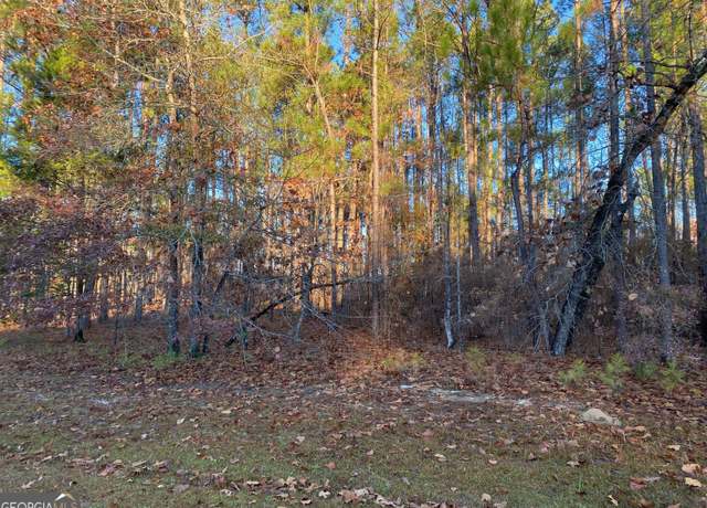 Property at 0 N Oak Ridge Dr, Butler, GA 31006