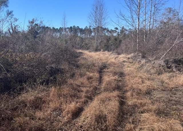 Property at 215 Spell Rd, Hazlehurst, GA 31539