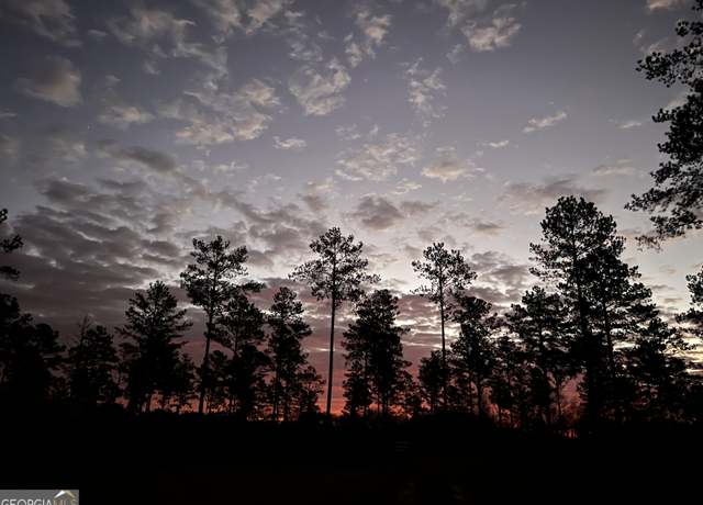 Property at 335 Highway 26, Elko, GA 31025
